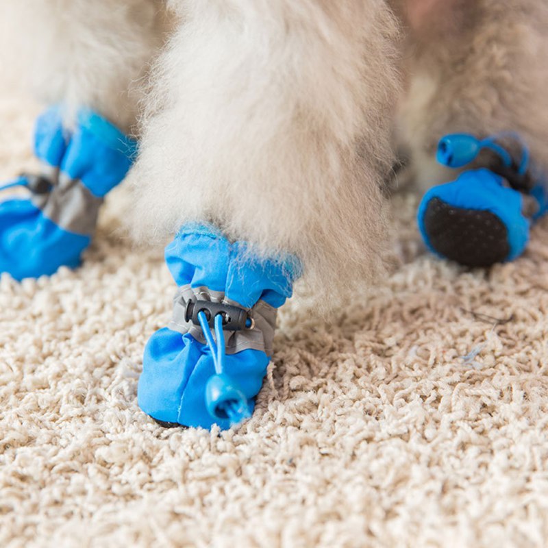 4 adet küçük köpek ayakkabılar - Outdoor Camping Slippers incelemesi ve fiyatı